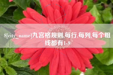 辽阳九宫格规则,每行,每列,每个粗线都有1-9