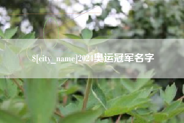 辽阳2024奥运冠军名字