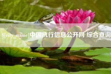 辽阳中国执行信息公开网 综合查询