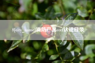 辽阳消防产品cccf认证目录
