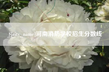 辽阳河南消防学校招生分数线