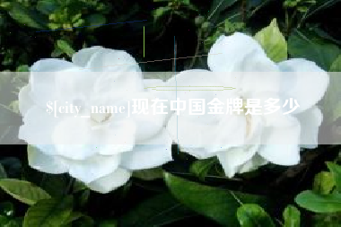 辽阳现在中国金牌是多少