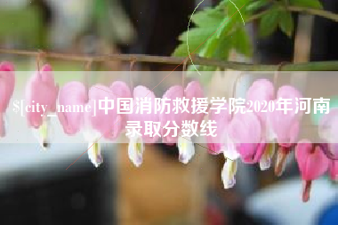 辽阳中国消防救援学院2020年河南录取分数线