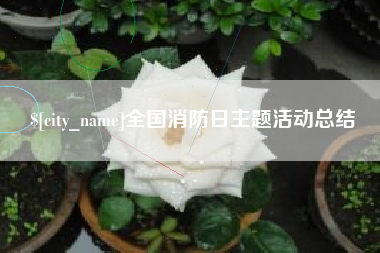 辽阳全国消防日主题活动总结