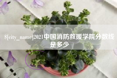 辽阳2021中国消防救援学院分数线是多少