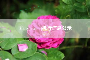 辽阳执行信息公示
