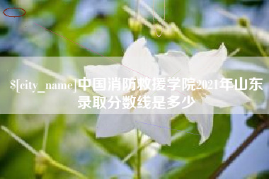 辽阳中国消防救援学院2021年山东录取分数线是多少