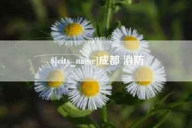 辽阳成都 消防