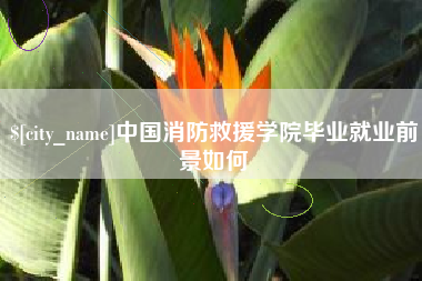 辽阳中国消防救援学院毕业就业前景如何