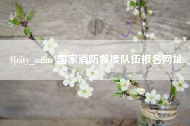 辽阳国家消防救援队伍报名网址