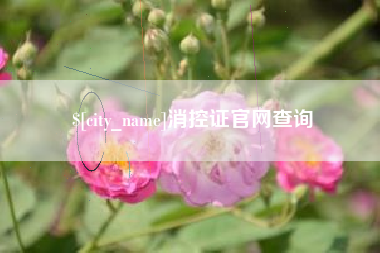 辽阳消控证官网查询