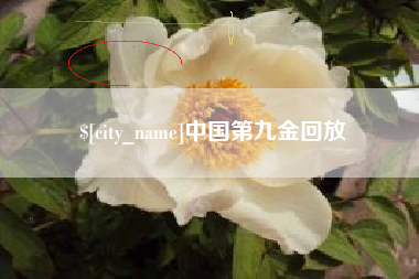 辽阳中国第九金回放