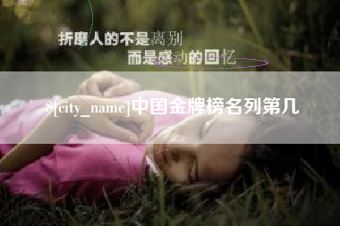 辽阳中国金牌榜名列第几