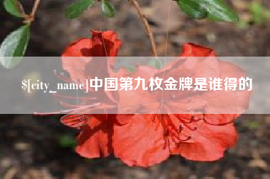 辽阳中国第九枚金牌是谁得的
