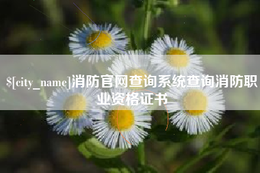 辽阳消防官网查询系统查询消防职业资格证书