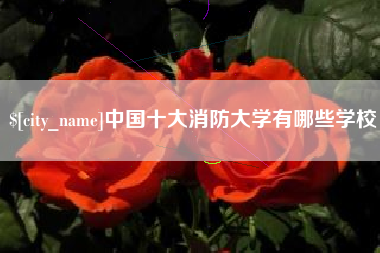 辽阳中国十大消防大学有哪些学校