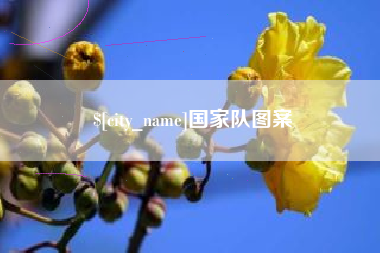 辽阳国家队图案