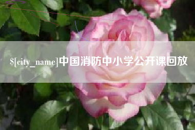辽阳中国消防中小学公开课回放