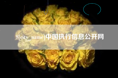 辽阳中国执行信息公开网