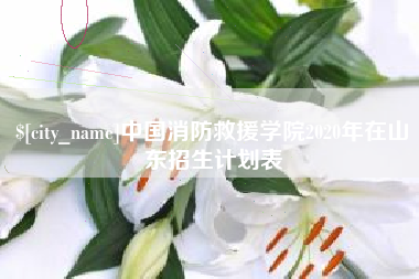 辽阳中国消防救援学院2020年在山东招生计划表