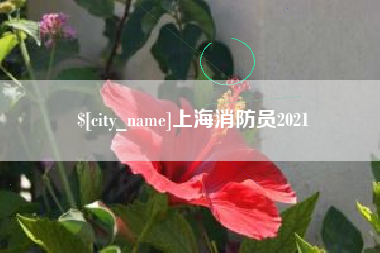 辽阳上海消防员2021