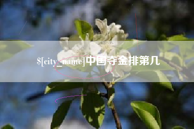 辽阳中国夺金排第几