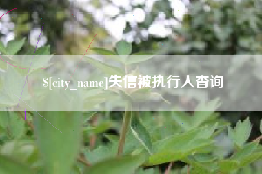 辽阳失信被执行人杳询