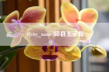 辽阳邱县王子磊