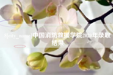 辽阳中国消防救援学院2020年录取结果