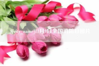 辽阳11月9日全国消防日图片