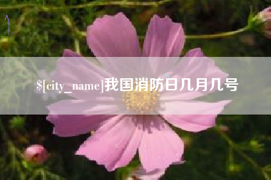 辽阳我国消防日几月几号