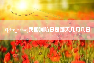 辽阳我国消防日是哪天几月几日