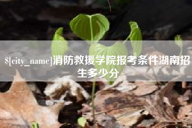 辽阳消防救援学院报考条件湖南招生多少分