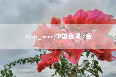 辽阳中国金牌18金