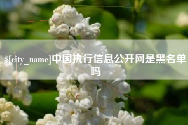 辽阳中国执行信息公开网是黑名单吗