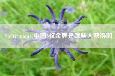 辽阳中国6枚金牌是哪些人获得的
