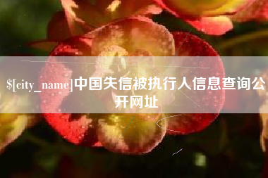 辽阳中国失信被执行人信息查询公开网址