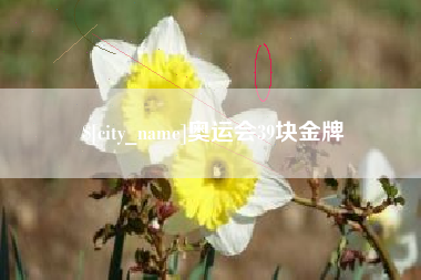 辽阳奥运会39块金牌