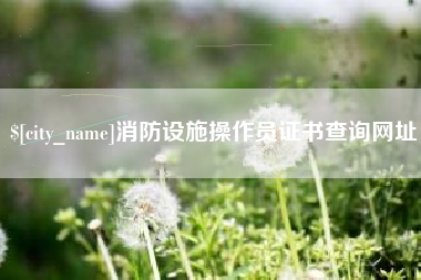 辽阳消防设施操作员证书查询网址