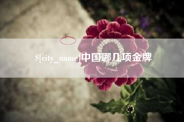 辽阳中国哪几项金牌