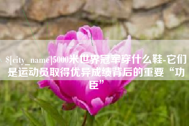 辽阳5000米世界冠军穿什么鞋-它们是运动员取得优异成绩背后的重要“功臣”