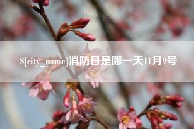 辽阳消防日是哪一天11月9号