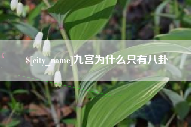 辽阳九宫为什么只有八卦