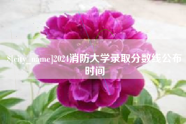 辽阳2024消防大学录取分数线公布时间