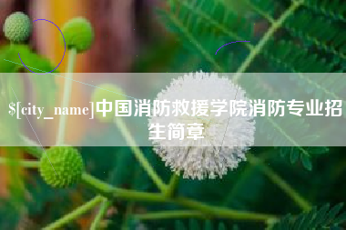 辽阳中国消防救援学院消防专业招生简章