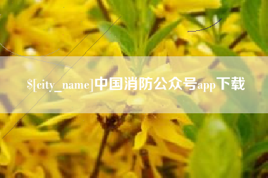 辽阳中国消防公众号app下载