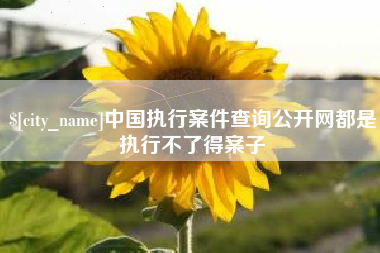 辽阳中国执行案件查询公开网都是执行不了得案子