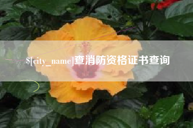 辽阳查消防资格证书查询