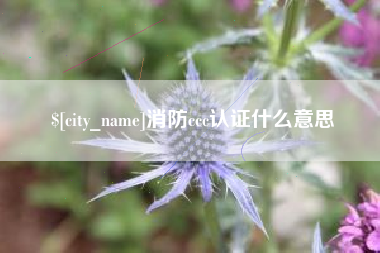 辽阳消防ccc认证什么意思