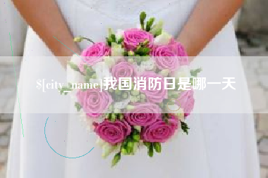 辽阳我国消防日是哪一天
